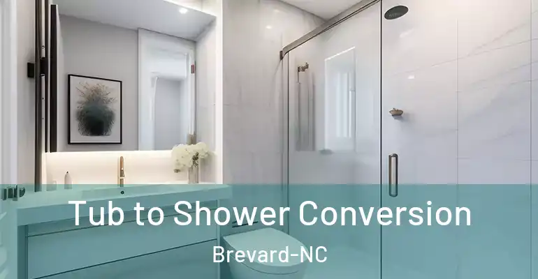 inner Bathroom imggen Tub to Shower Conversion Brevard-NC