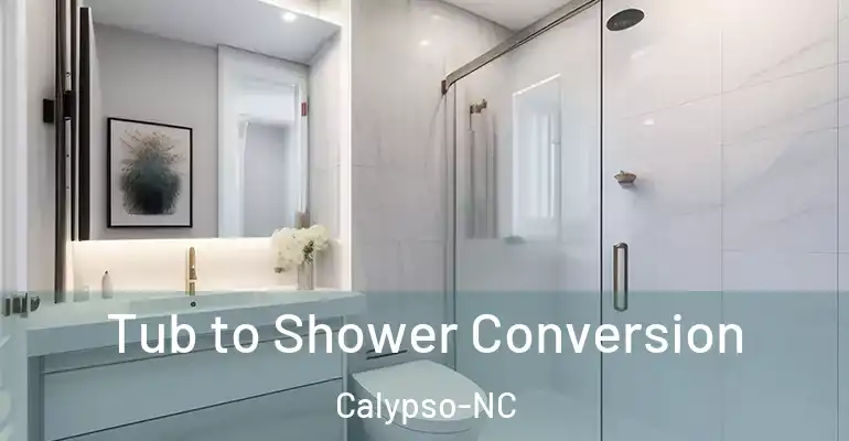 inner Bathroom imggen Tub to Shower Conversion Calypso-NC