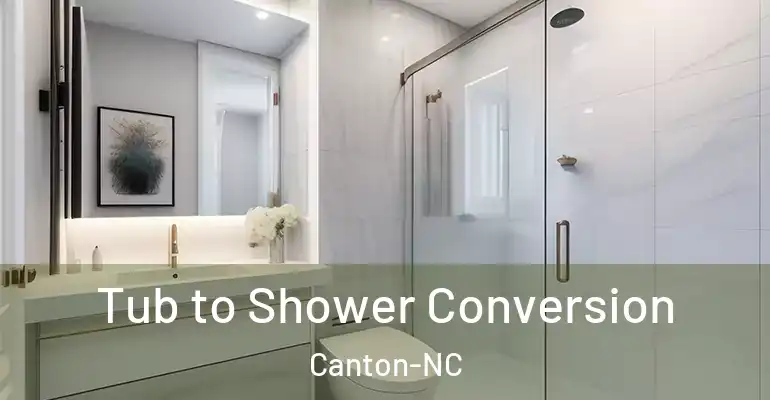inner Bathroom imggen Tub to Shower Conversion Canton-NC