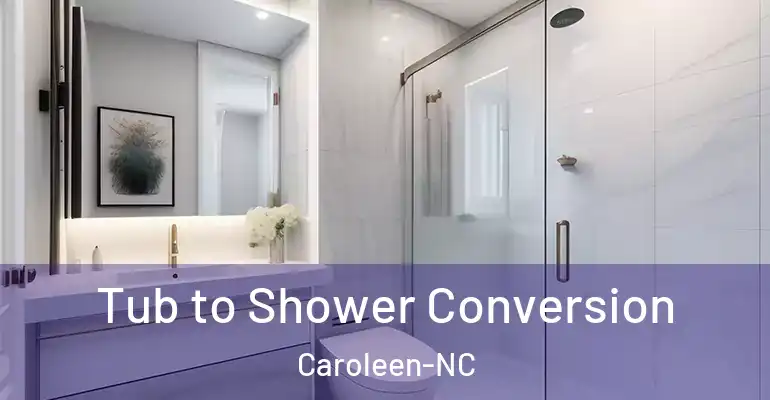 inner Bathroom imggen Tub to Shower Conversion Caroleen-NC