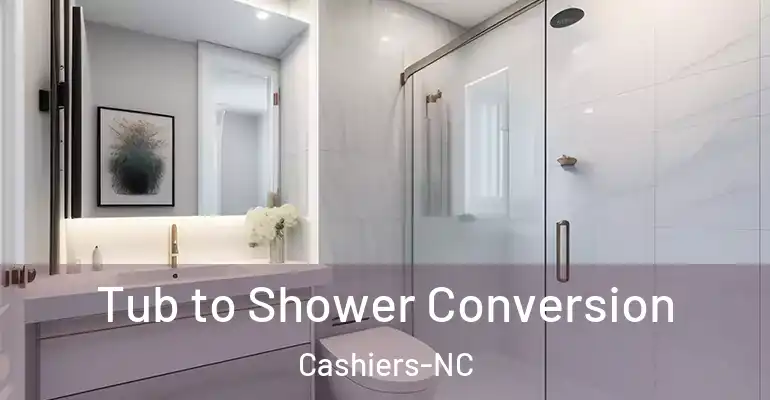 inner Bathroom imggen Tub to Shower Conversion Cashiers-NC