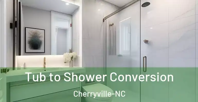 inner Bathroom imggen Tub to Shower Conversion Cherryville-NC