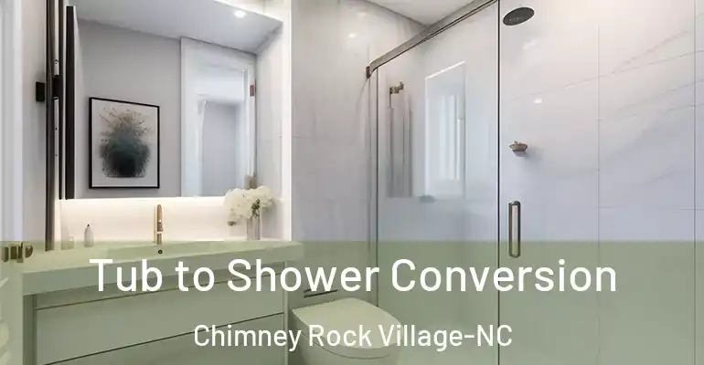 inner Bathroom imggen Tub to Shower Conversion Chimney Rock Village-NC