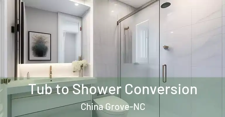 inner Bathroom imggen Tub to Shower Conversion China Grove-NC
