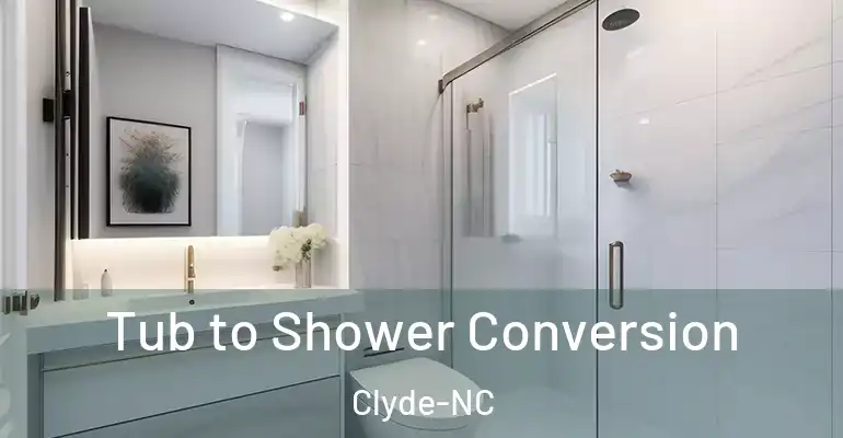 inner Bathroom imggen Tub to Shower Conversion Clyde-NC