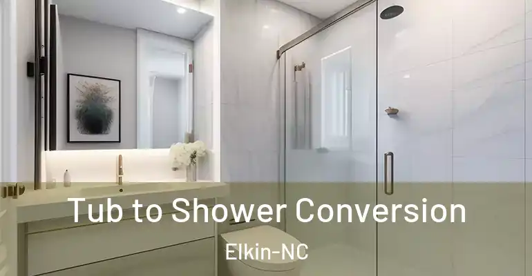 inner Bathroom imggen Tub to Shower Conversion Elkin-NC