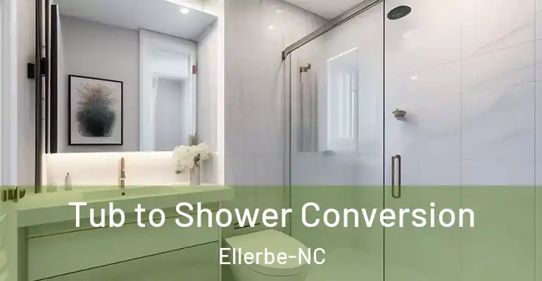 inner Bathroom imggen Tub to Shower Conversion Ellerbe-NC