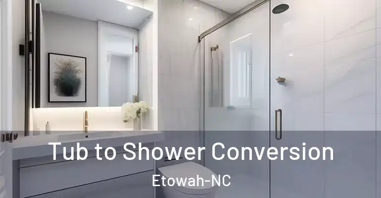inner Bathroom imggen Tub to Shower Conversion Etowah-NC