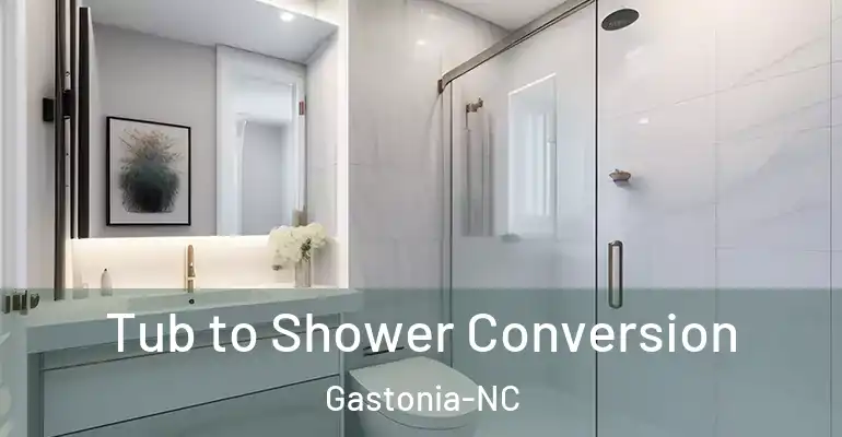 inner Bathroom imggen Tub to Shower Conversion Gastonia-NC