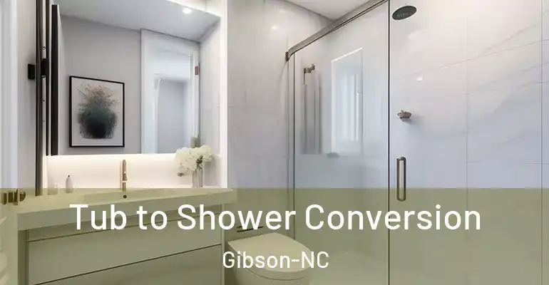 inner Bathroom imggen Tub to Shower Conversion Gibson-NC