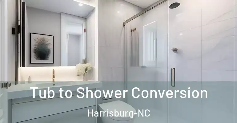 inner Bathroom imggen Tub to Shower Conversion Harrisburg-NC