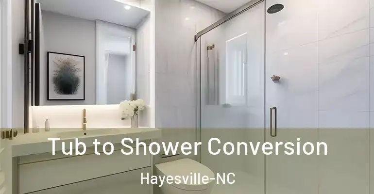 inner Bathroom imggen Tub to Shower Conversion Hayesville-NC