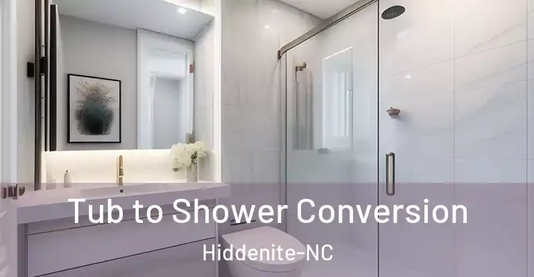 inner Bathroom imggen Tub to Shower Conversion Hiddenite-NC