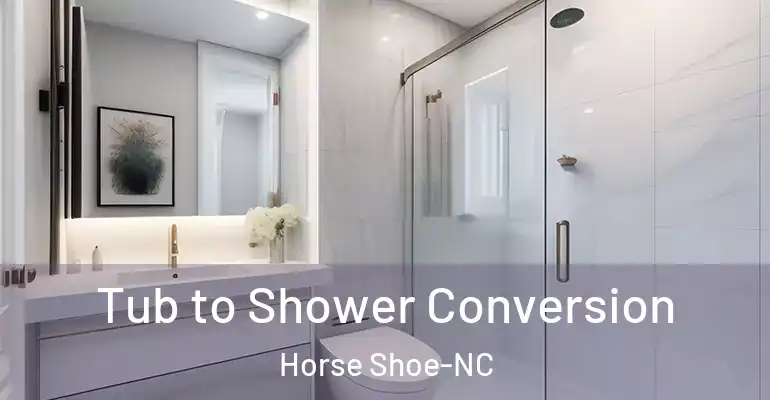 inner Bathroom imggen Tub to Shower Conversion Horse Shoe-NC