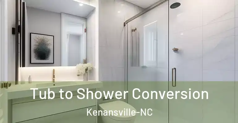 inner Bathroom imggen Tub to Shower Conversion Kenansville-NC