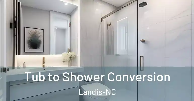 inner Bathroom imggen Tub to Shower Conversion Landis-NC