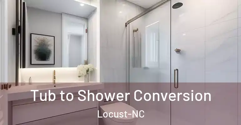 inner Bathroom imggen Tub to Shower Conversion Locust-NC