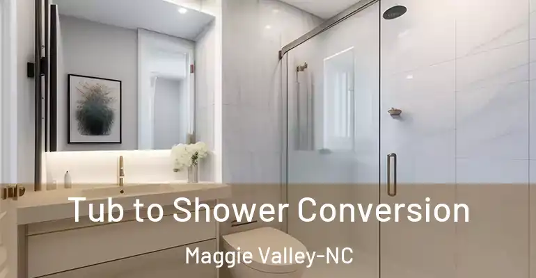 inner Bathroom imggen Tub to Shower Conversion Maggie Valley-NC