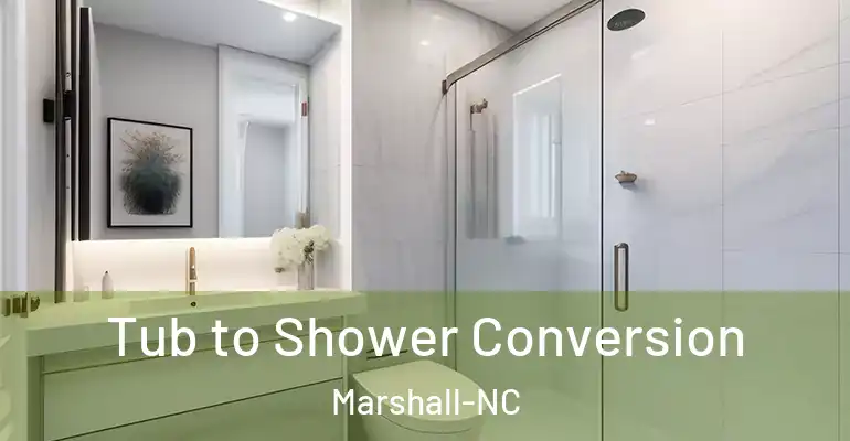 inner Bathroom imggen Tub to Shower Conversion Marshall-NC
