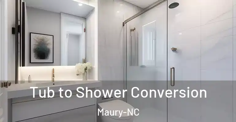inner Bathroom imggen Tub to Shower Conversion Maury-NC