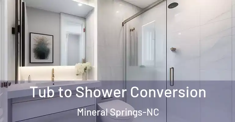 inner Bathroom imggen Tub to Shower Conversion Mineral Springs-NC