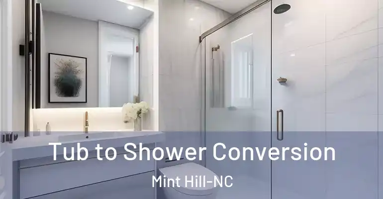 inner Bathroom imggen Tub to Shower Conversion Mint Hill-NC