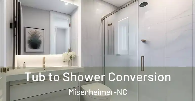 inner Bathroom imggen Tub to Shower Conversion Misenheimer-NC