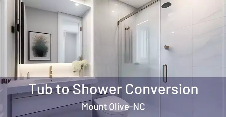 inner Bathroom imggen Tub to Shower Conversion Mount Olive-NC