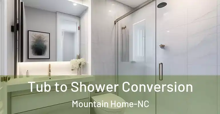 inner Bathroom imggen Tub to Shower Conversion Mountain Home-NC