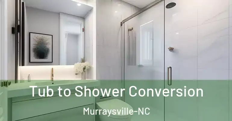 inner Bathroom imggen Tub to Shower Conversion Murraysville-NC