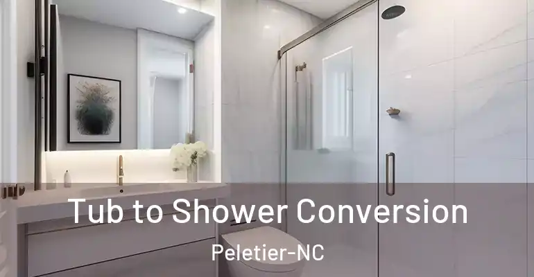 inner Bathroom imggen Tub to Shower Conversion Peletier-NC
