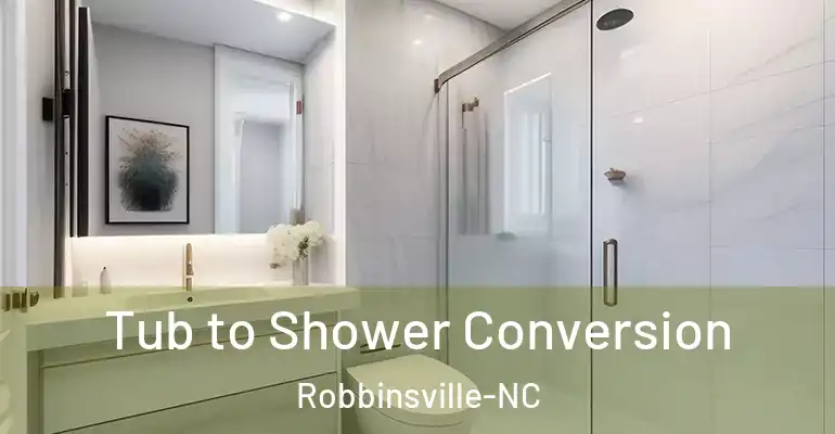 inner Bathroom imggen Tub to Shower Conversion Robbinsville-NC