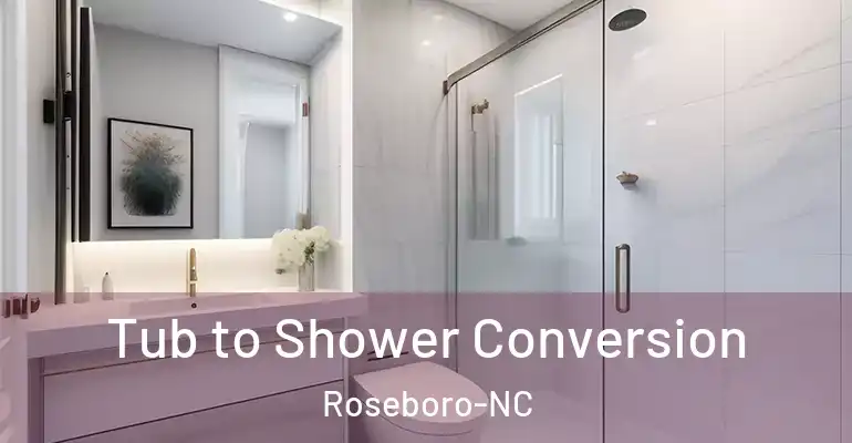 inner Bathroom imggen Tub to Shower Conversion Roseboro-NC