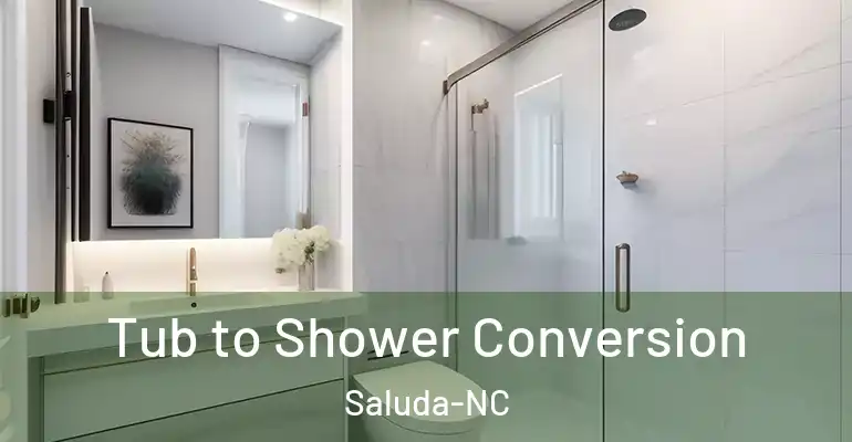 inner Bathroom imggen Tub to Shower Conversion Saluda-NC