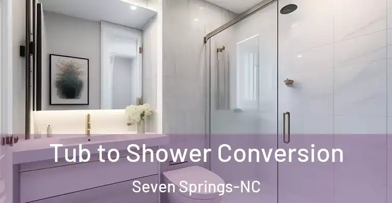 inner Bathroom imggen Tub to Shower Conversion Seven Springs-NC