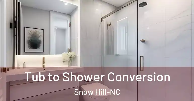 inner Bathroom imggen Tub to Shower Conversion Snow Hill-NC