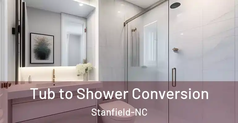 inner Bathroom imggen Tub to Shower Conversion Stanfield-NC