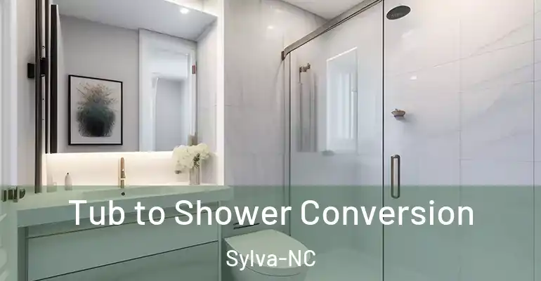 inner Bathroom imggen Tub to Shower Conversion Sylva-NC