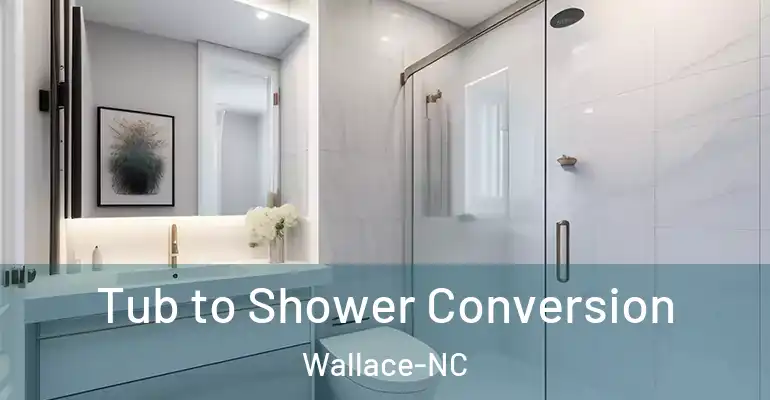 inner Bathroom imggen Tub to Shower Conversion Wallace-NC
