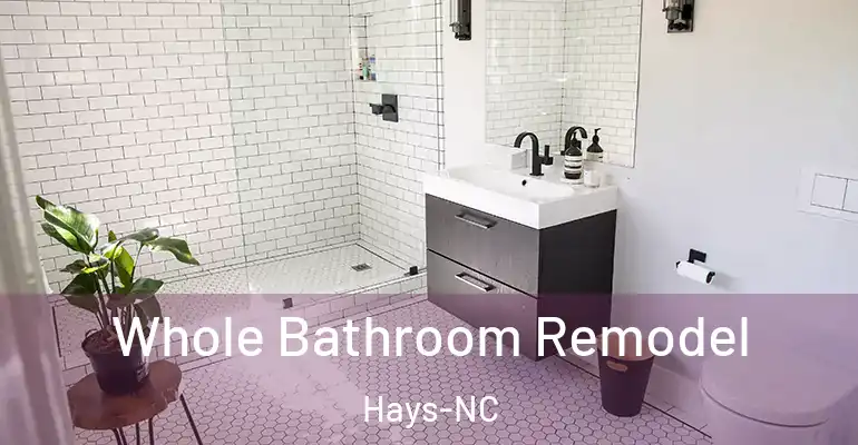 inner Bathroom imggen Whole Bathroom Remodel Hays-NC