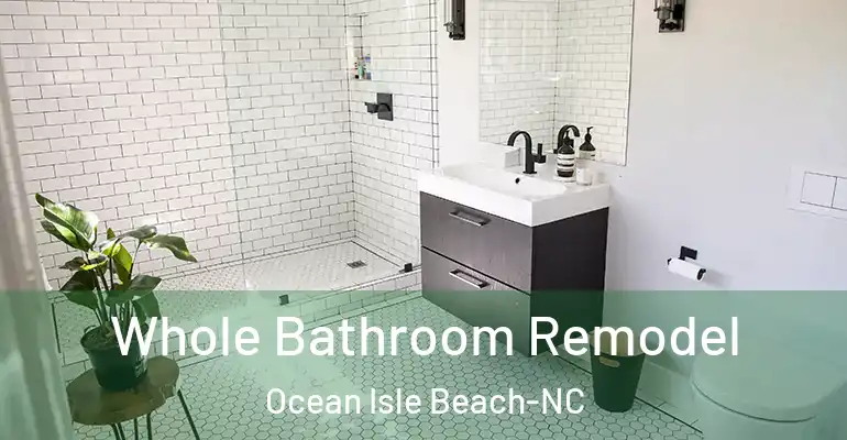 inner Bathroom imggen Whole Bathroom Remodel Ocean Isle Beach-NC