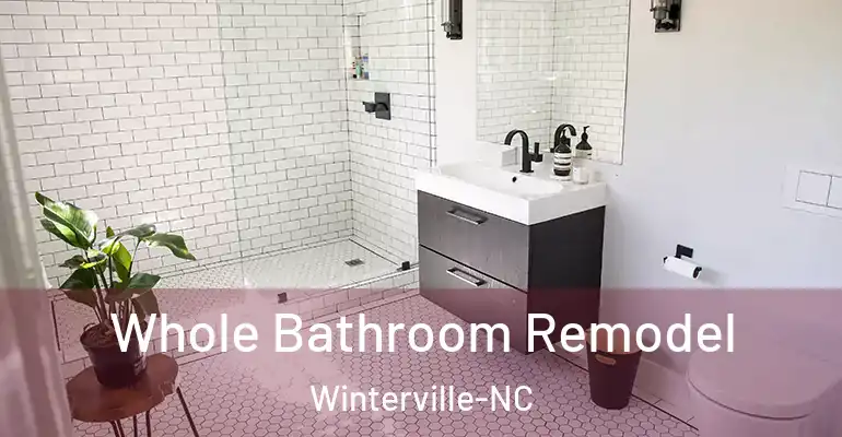 inner Bathroom imggen Whole Bathroom Remodel Winterville-NC